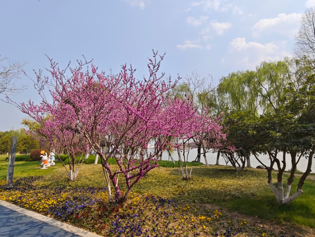 紫荊-洑溪河公園