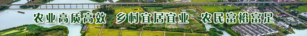 農(nóng)業(yè)高質(zhì)高效
